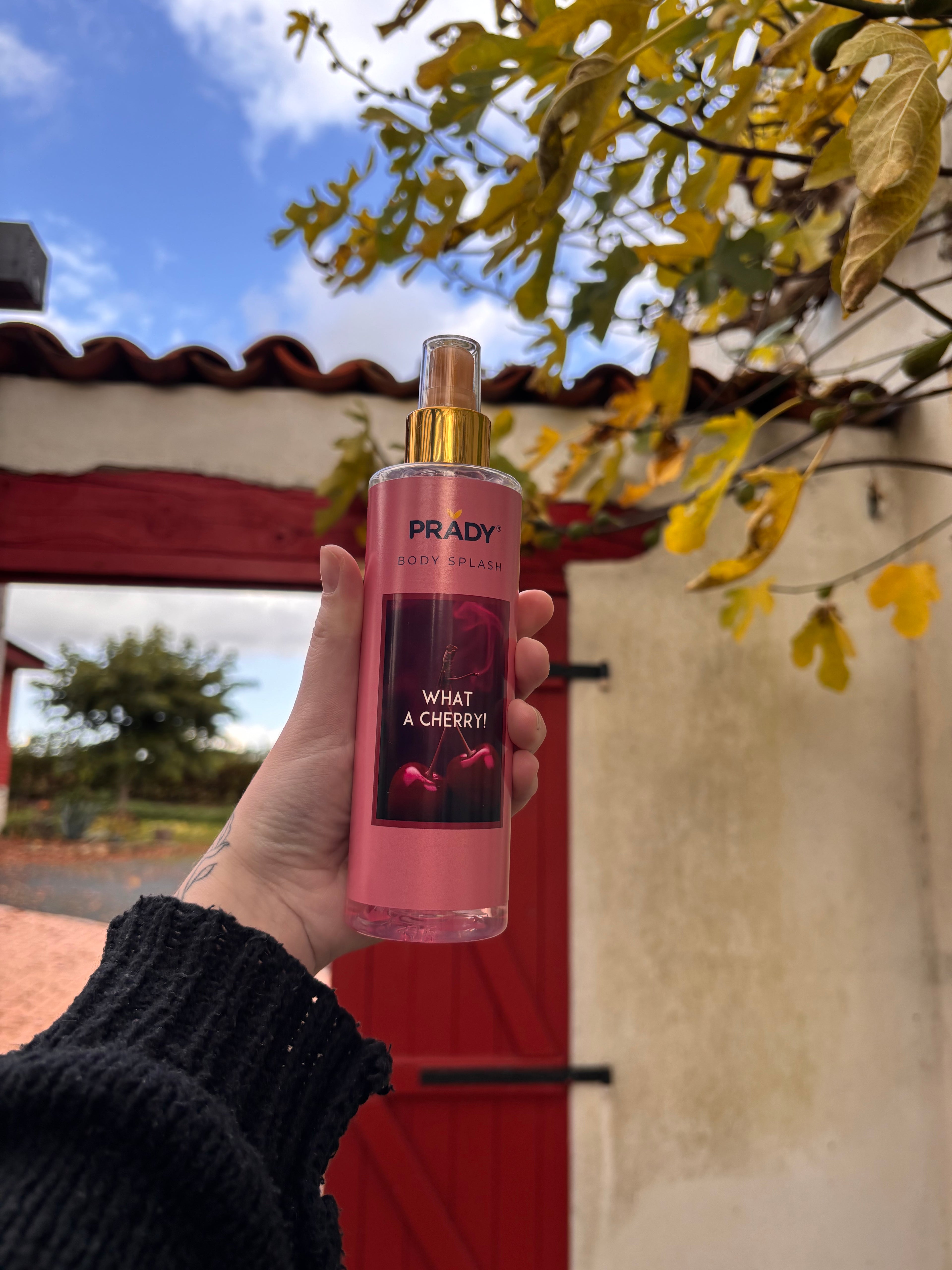 Cosmétiques