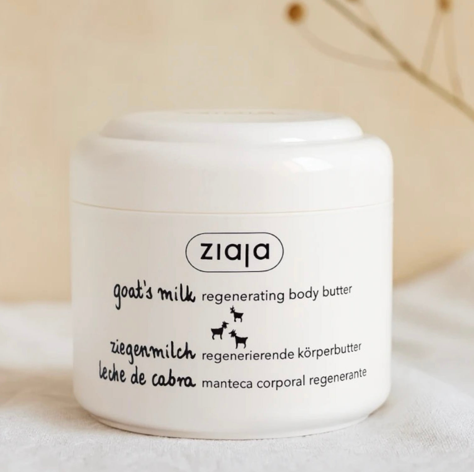 Beurre pour le corps